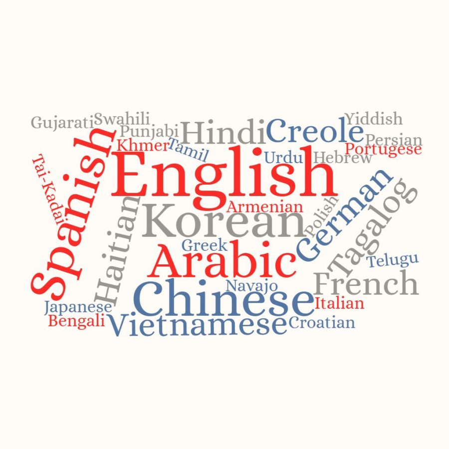 The+US+Census+Bureau+found+that+over+350+languages+are+spoken+in+the+US.+English%2C+Spanish%2C+Chinese%2C+Tagalog+and+Vietnamese+are+some+of+the+most+common.+Even+within+these+languages%2C+there+are+different+dialects+and+varieties%2C+making+the+US+incredibly+linguistically+diverse.+