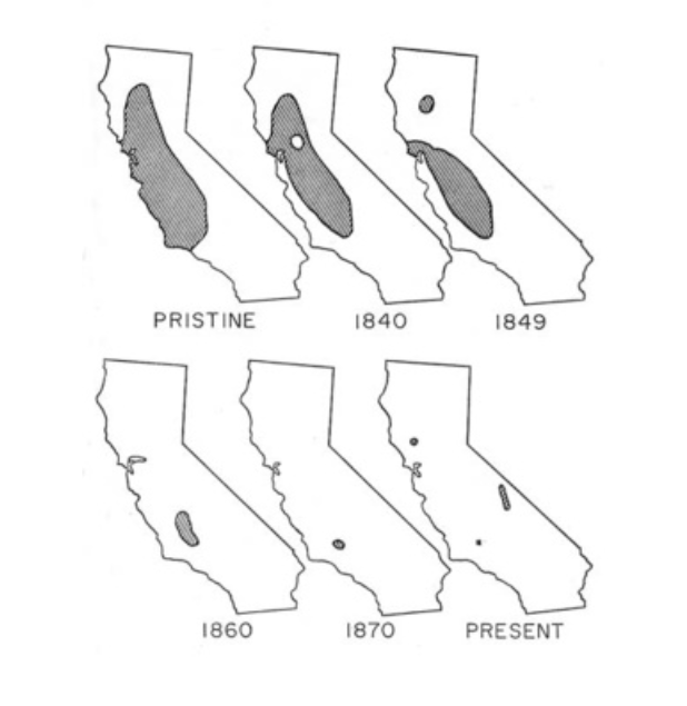 Tule+Elk+Population+Distribution+Maps+of+California%2C+Past+to+Present