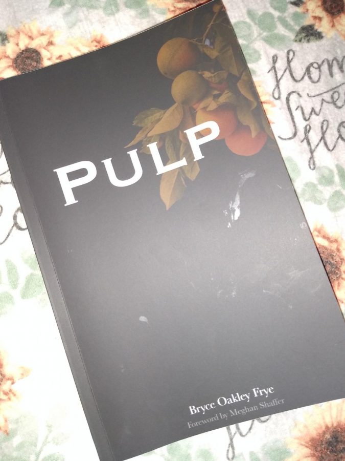 Pulp+is+about+desire.+The+word+is+never+used+in+the+poems+themselves.+The+collection+aims+to+put+readers+in+the+driver+seat+of+desire+and+navigates+them+through+the+chase.