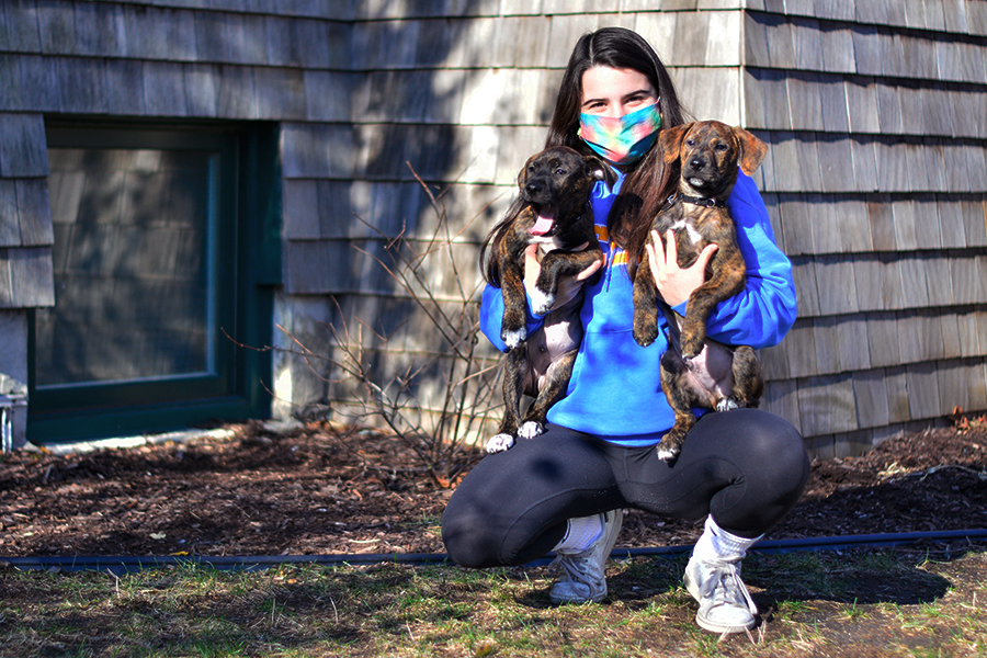 After 23 foster animals, Sophie Raphael develops deep relationships, a dedication to service