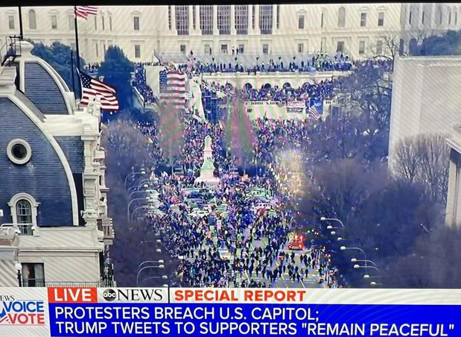 Green Hope Reacts: Storming of the U.S. Capitol