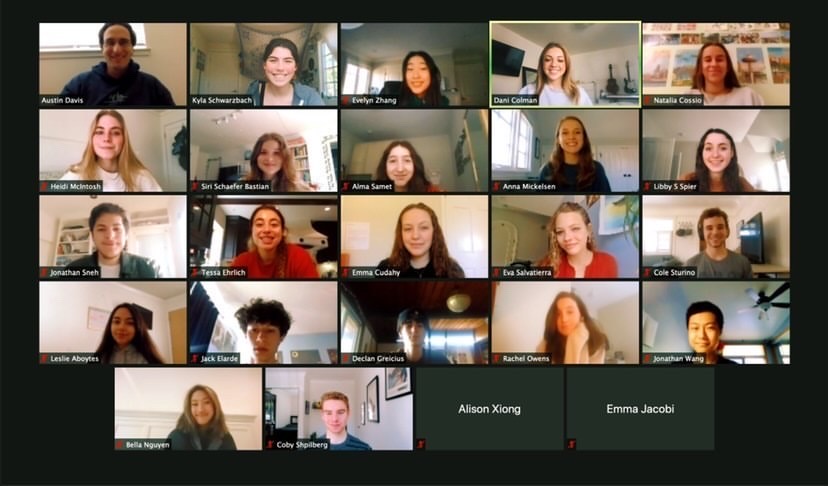 A Zoom meeting screenshot of Paly Responsive Inclusive Safe Environment (RISE, @palyrise), a student task force committed to the goals of sexual violence education, prevention and justice, is displayed.