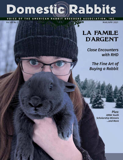 Alumni Spotlight: Fur the Love of Rabbits