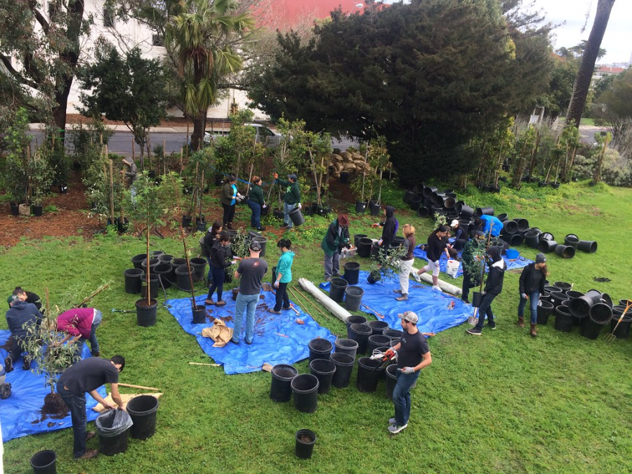 Volunteers+a+part+the+Friends+of+the+Urban+Forest+work+together+to+plant+trees+for+San+Francisco+communities.