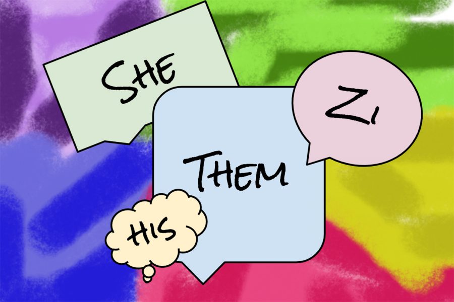 ‘One small gesture that goes a long way:’ The evolving topic of pronouns