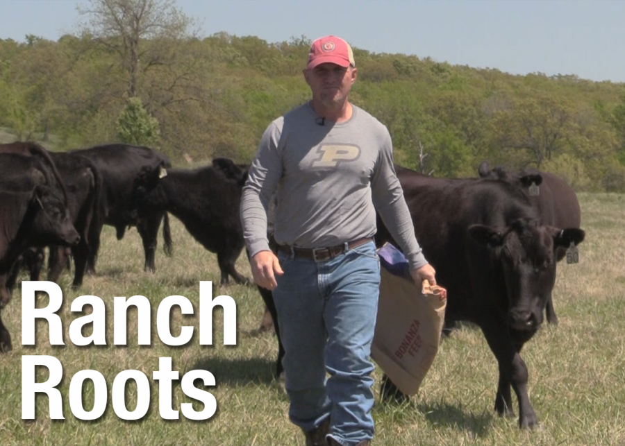 VIDEO: Ranch Roots