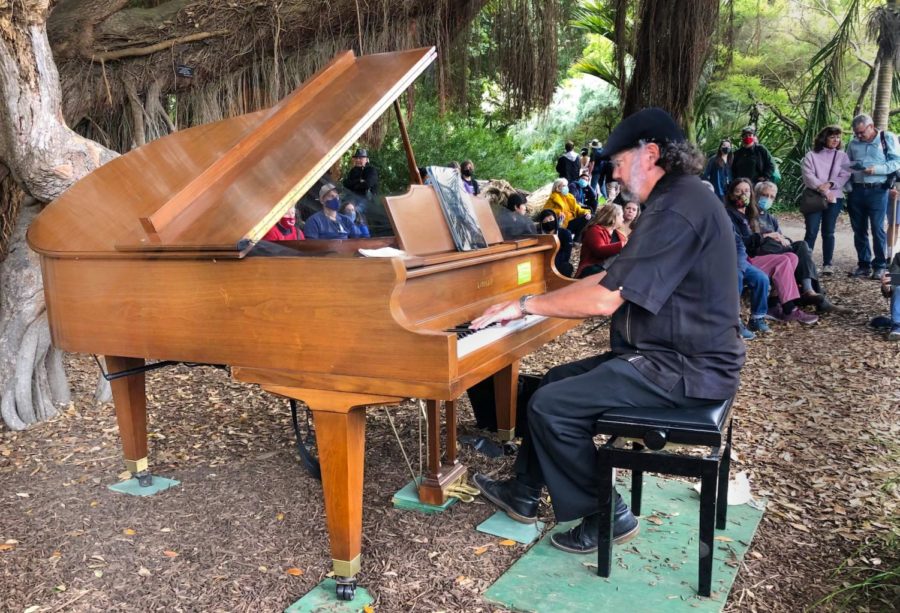 Kymry Esainko performs under the pohutukawa tree while Flower Piano attendees watch.