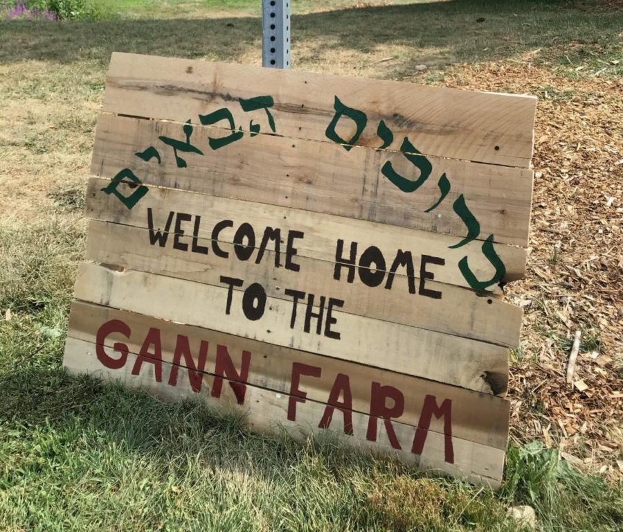 Wooden+sign+in+Hebrew+and+English+lettering+in+front+of+garden+beds+at+Gann+Farm.