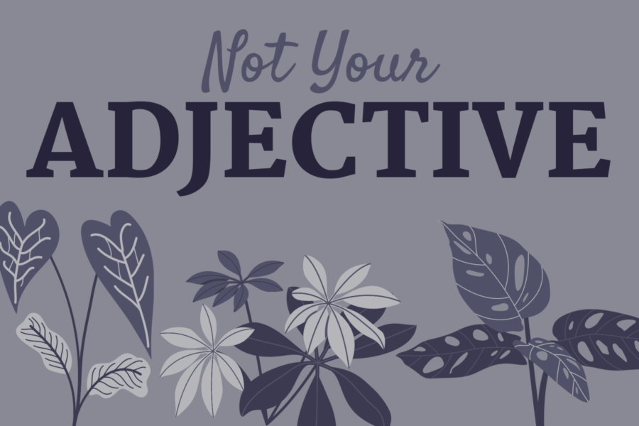 Not your adjective