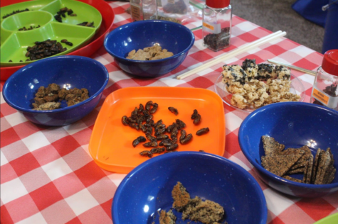 Landkamer makes all kinds of delicious bug treats, including honey roasted june bugs,
mealworm rice krispies treats, jalapeno cricket bites and more.