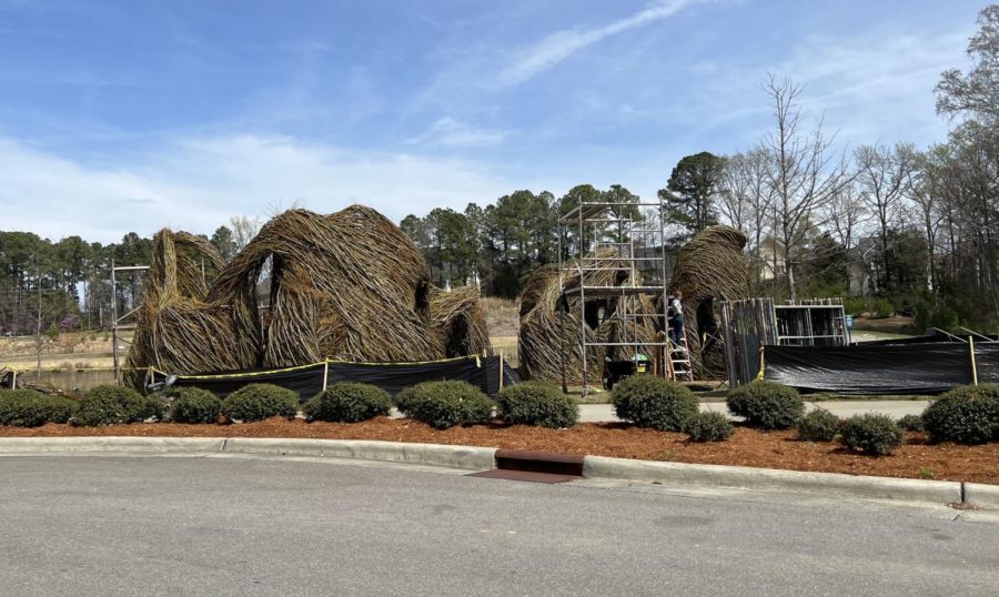 Dougherty, a renowned environmental artist, is constructing a new piece in Carys Carpenter Park.