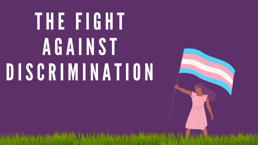 Transgender youth across the country have had to become the loudest voices in the fight for equality in the face of discriminatory legislation.