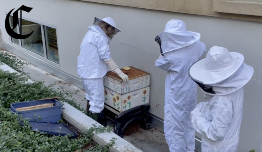 The Menlo Beekeeping club creates unique items like soaps from the bee wax in their hive. Additionally, students suit up in protective gear and tend to the hive. Staff photo: Andrea Li. 