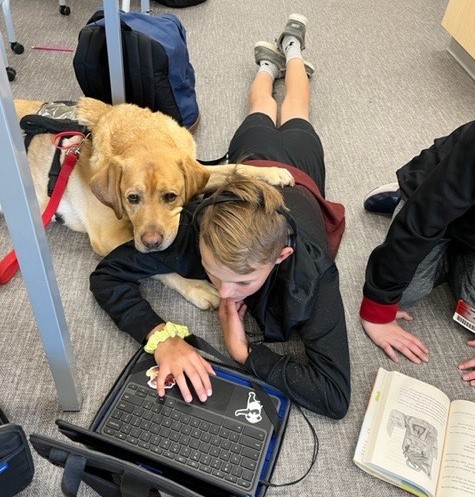 A 6th grade intermediate school student works on homework on his Chromebook while Remington cuddles up. Remington plays fetch with the kids in the hallway and outside-one of his favorite activities.