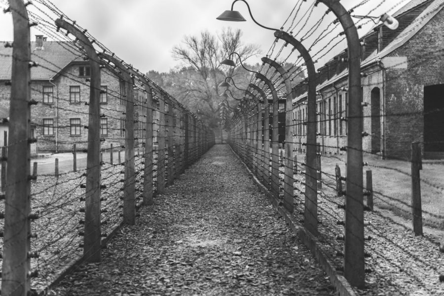 From Darkness to Light: A Holocaust Survivor’s Story