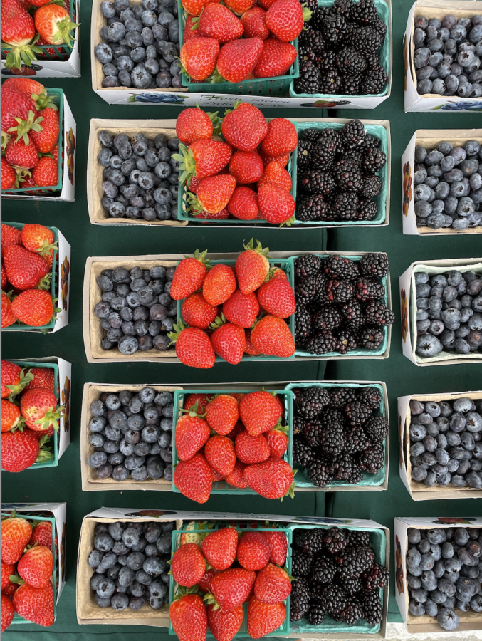 Farmers’ markets promote a fruitful future