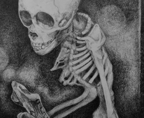 Evan Green’s (11) most recent graphite pencil drawing depicts a young monkey’s skeleton. He took the reference photo at the Pink Palace Museum, a common source for his unorthodox concentration.