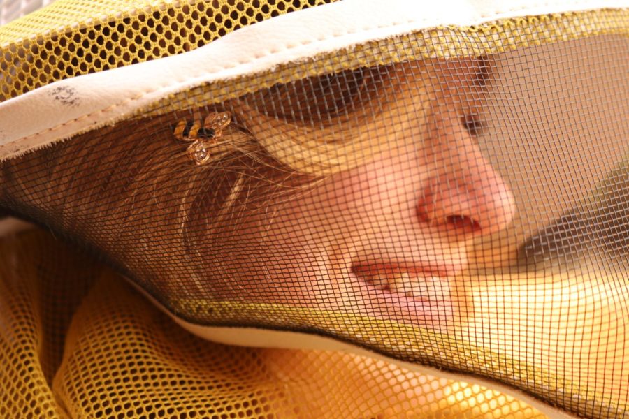Coppell High School senior Elizabeth Grace Walker developed a keen interest in bees at a young age and apprentices with local beekeeper Rory Carrick. To diffuse her interests, Walker founded the CHS Bee Club, highlighting conservation efforts and bee behavior.