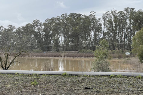 An area in Napa flooded in January. The deadly storms, which lasted three weeks, resulted from strong atmospheric rivers and bomb cyclones.