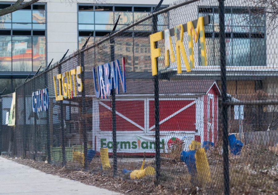 FUTURE OF FOOD. Across Chicago, empty lots and neighborhood spaces are being revitalized into urban farms. For those who believe in environmental conservation, urban agrictulture produces healthy and sustainable options.