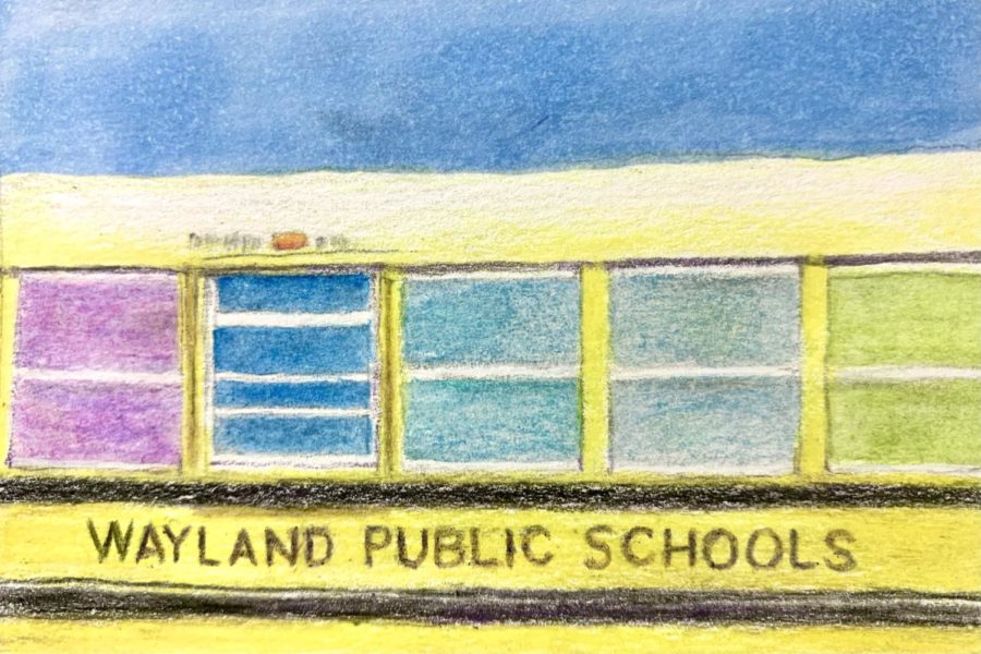 Learn about the Wayland METCO program and three past METCO students experiences in Wayland Public Schools. 