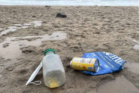 Litter left along the beach that will be displaced amongst the ecosystem. 