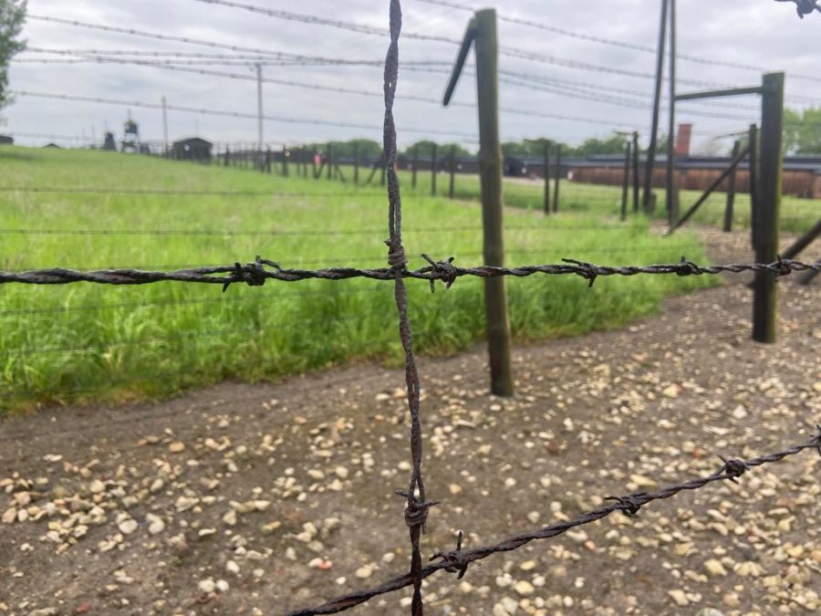 GREEN: A field at the edges of Auschwitz is surrounded by barbed-wire fencing. The class of 2023 is visiting Israel and Poland this week, and saw Auschwitz on Sunday.