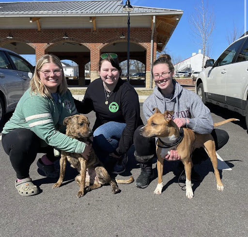 Jordyn Mooney (left) pets a dog accompanied along with two friends.
// Courtesy of ttrrescue Instagram account