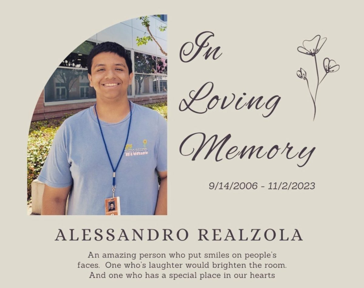 A Tribute to Alessandro Realzola: Life of Laughter and Compassion