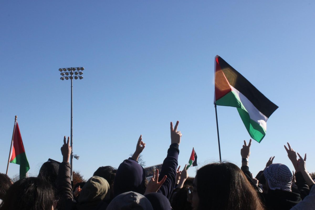 Students+hold+up+peace+signs+while+others+raise+the+Palestinian+flag.+November+1%2C+2023.+