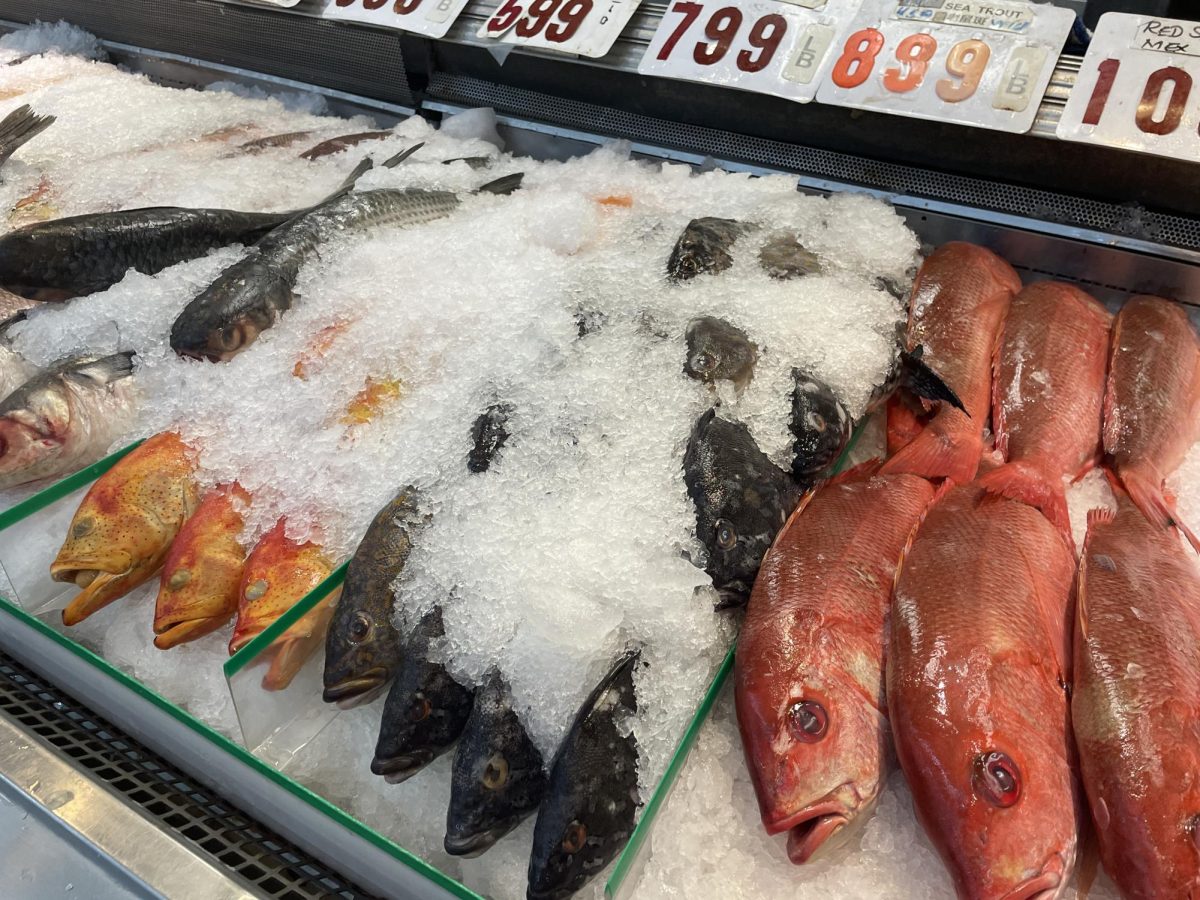 The+seafood+section+at+the+Marina+Food+Market+sells+a+variety+of+fresh+fish+each+day.+%E2%80%9CWe+sell+tilapia%2C+black+bass%2C+carp%2C+and+catfish%2C+and+we+have+them+labeled+in+regions+also+saying+which+farm+we+got+it+from%2C%E2%80%9D+Zhou+said.+Recently%2C+the+fish+selection+has+been+limited+to+buyers+compared+to+past+months.+