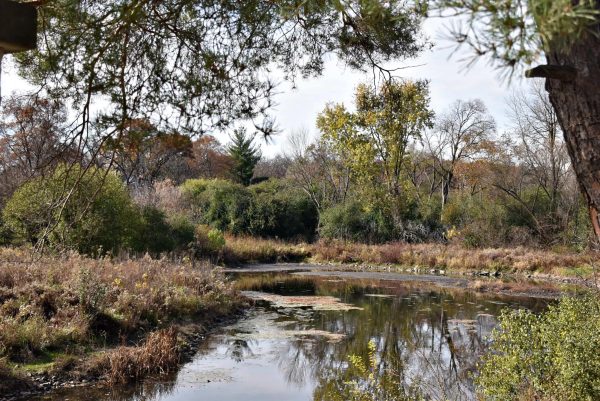 The Urban Stream Research Center is part of the Blackwell Forest Preserve system. Students in AP Environmental Studies are able to visit this site as part of a field trip in the fall.