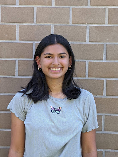 Fatimah Hussain learned many skills necessary for Unicorn Lock outside of school. This included a mix between self-learning and learning from her mentors.