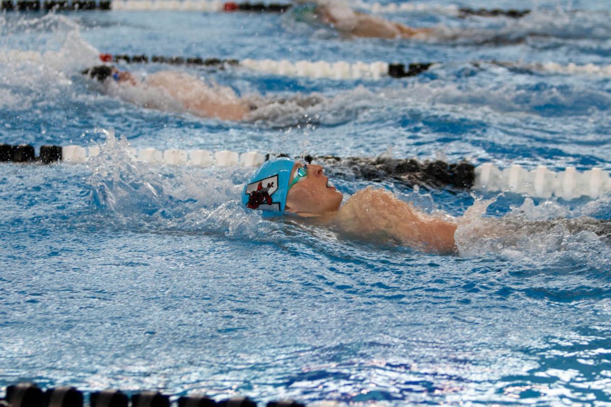 A+Naperville+Central+swimmer+races+the+backstroke+at+last+years+IHSA+state+championship.