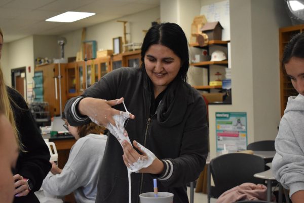 STEMming the tide: A look into the Women in STEM Club