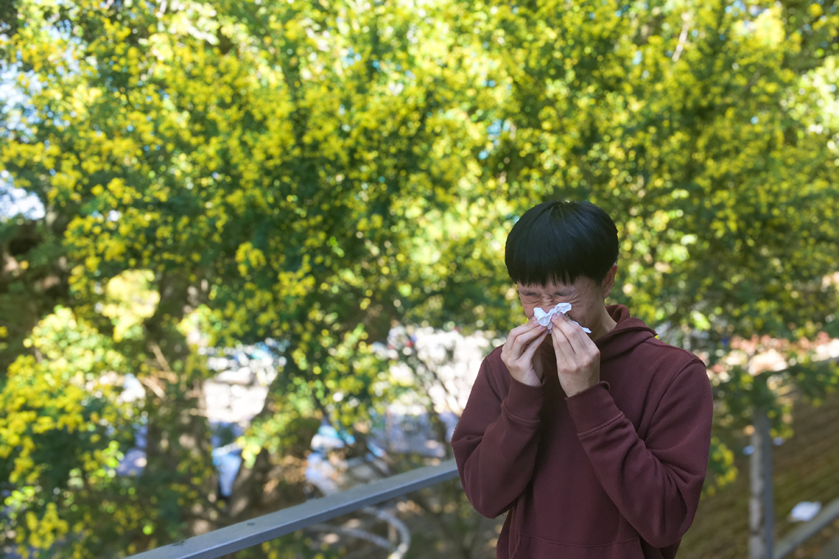 Seasonal allergies are a constant issue for Vincent Wong, a sophomore at Carlmont High School. Before, my allergies would start in early spring. Now, from wintertime to late spring, I get congested and have irritated eyes and skin, Wong said.