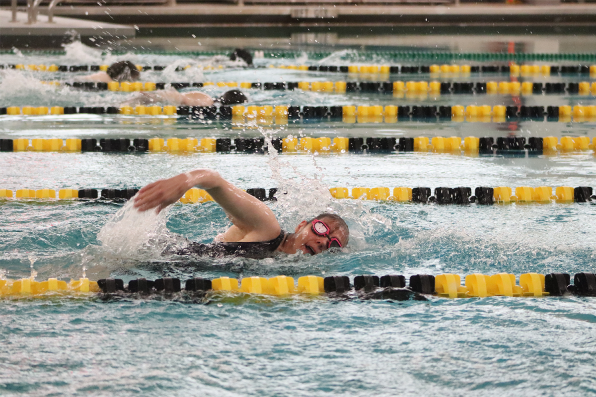Student-athlete's compete swimming, trying their best to have their best times. 