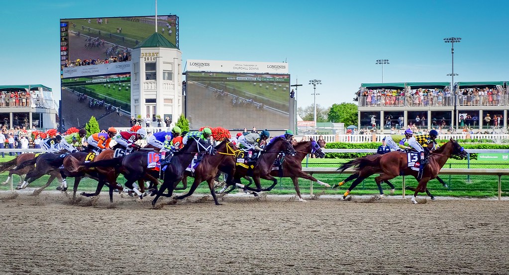 Horses off to the races at Churchill Downs (Photo courtesy of staff writer Ethan Donlon) 