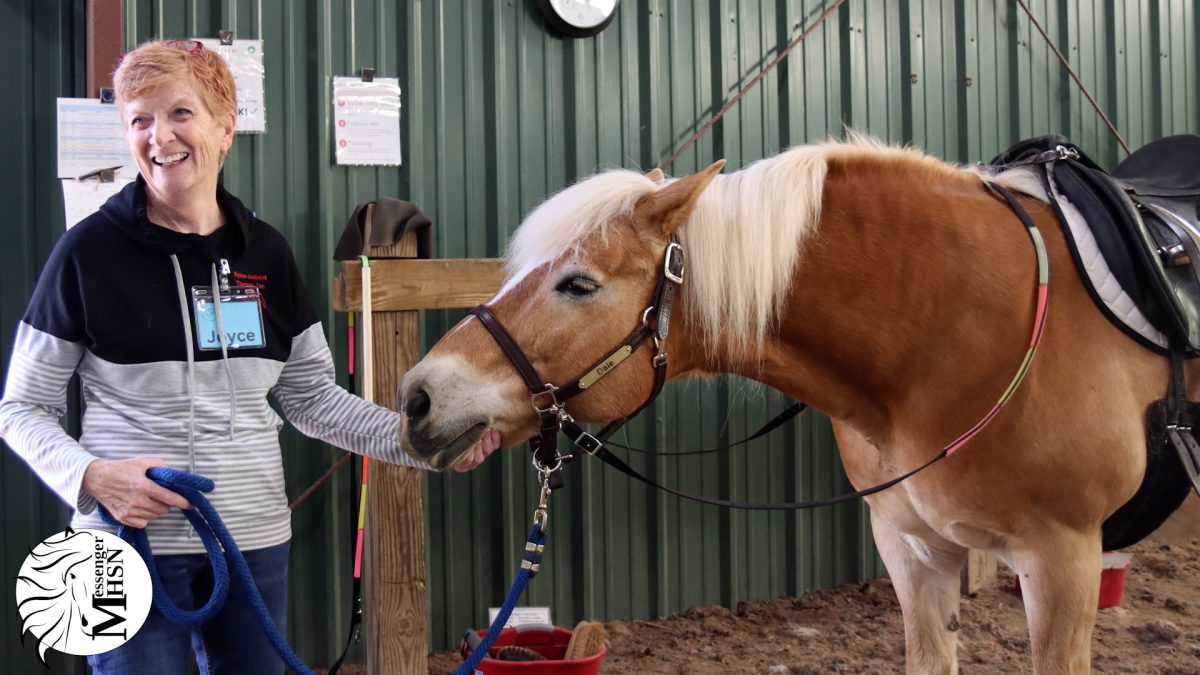 Equine Assisted Therapy involves the use of horses to develop cognitive skills, empathy, and teamwork to name a few. Equine therapy is suitable for all demographics.