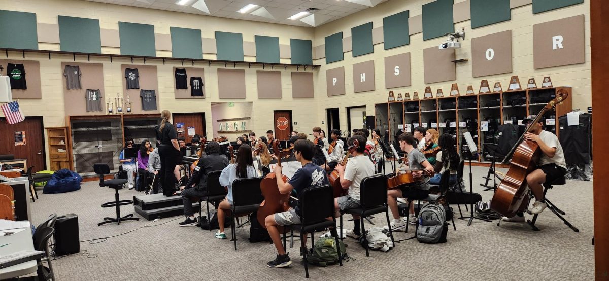 Instruments at the ready, United Sound 
special education students work every Friday to learn music with their mentors from the orchestra. Cassie Cepeda, one of the program's teachers, said the group even performed in front of the school board last year. "It was awesome to see all the students just rise to the occasion and learn a song in two rehearsals," Cepeda said. "We had to pull off one of the songs in two rehearsals. They showed us that, we don't need to hold them back. And, it really taught us, and our mentor students, that there's really no limit."