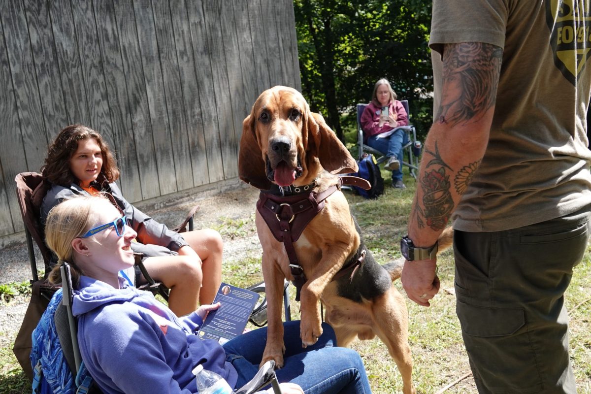 Nora Hoy with one of the bloodhounds.