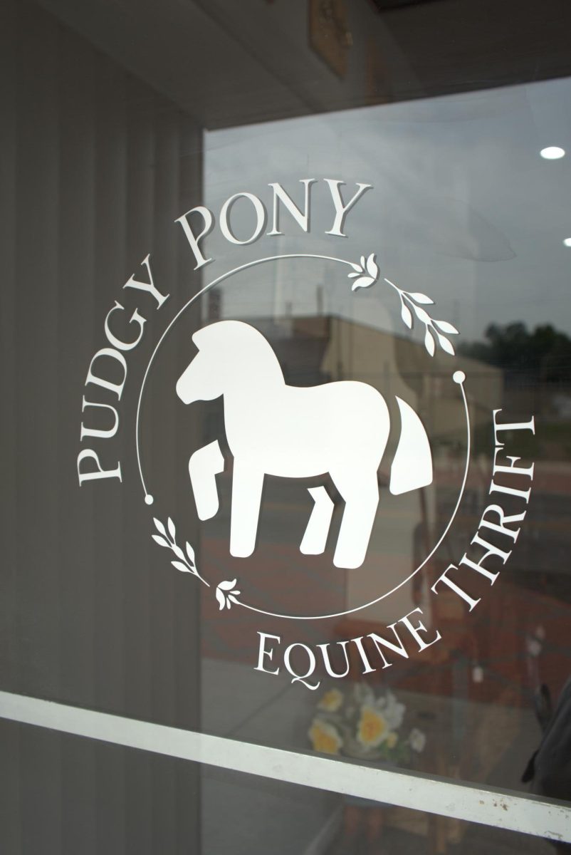 Pudgy Pony Logo on store window.