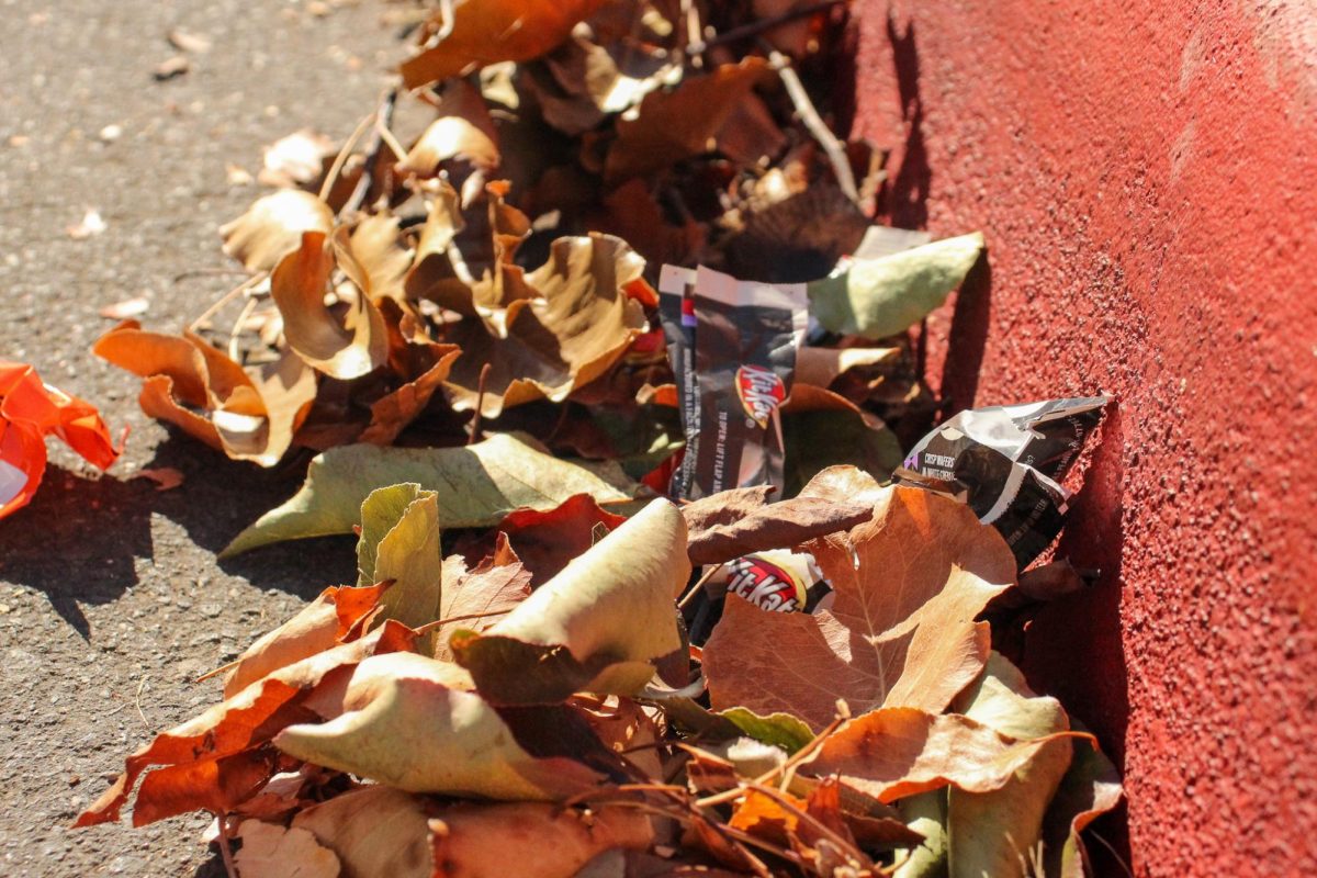 Halloween candy wrappers are scattered between leaves at Archie Williams.