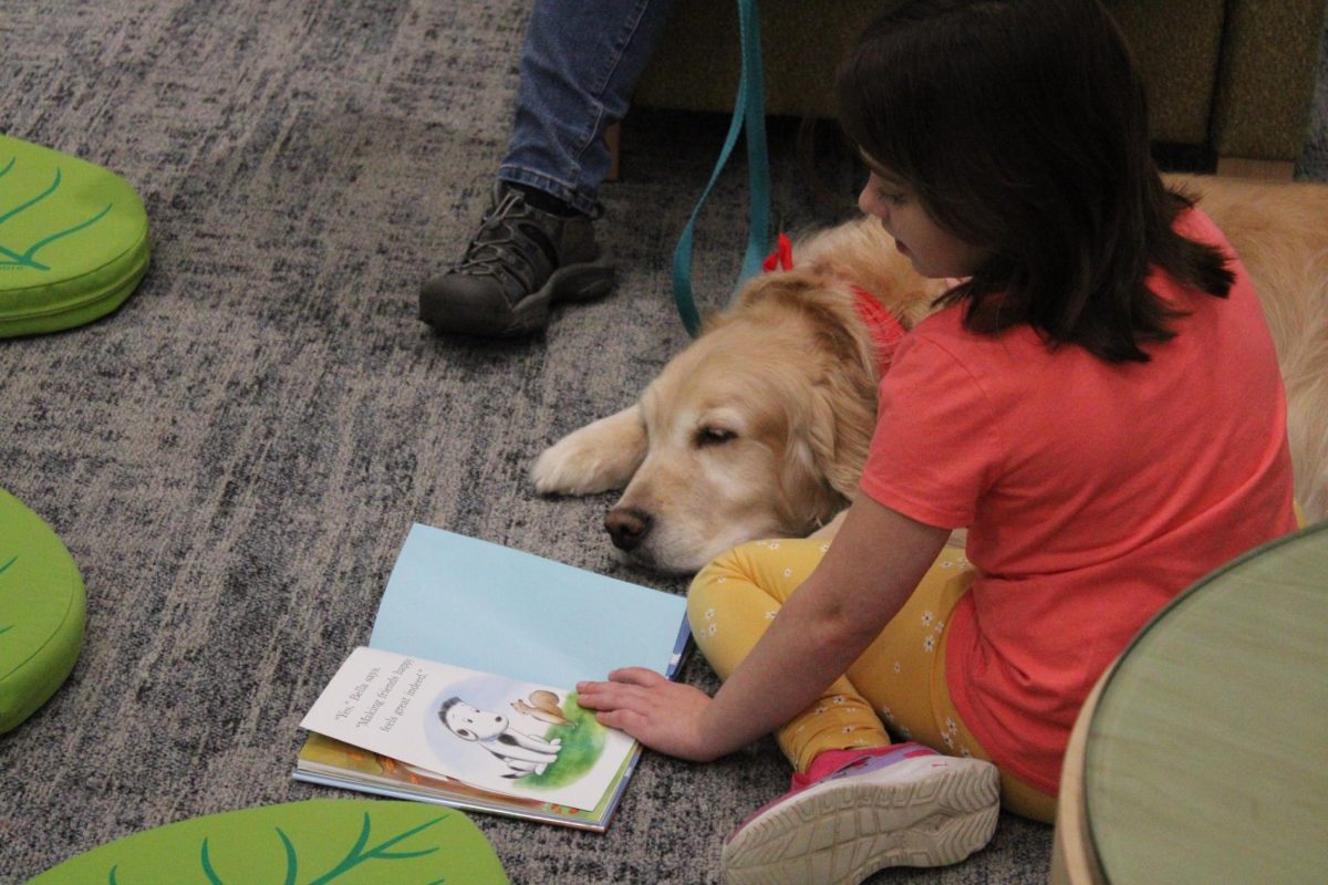 Whisper the therapy dog listening to the story being read to her during the "Read to a Dog" event at the Kitsap Regional Library in Silverdale.