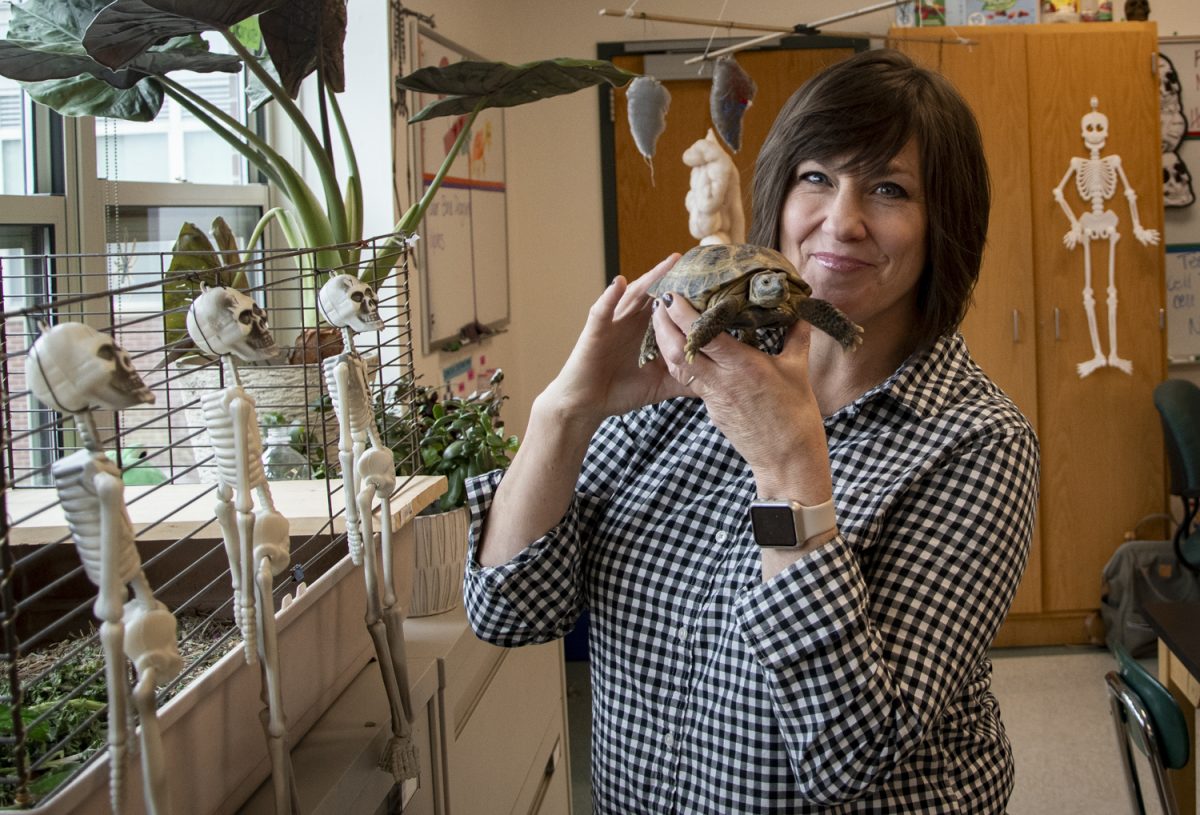 Science teacher Lori Mott holds her tortoise, Frank. The tortoise, popular among classes, provides joy to many faculty and students as well as helping with creative scientific education.