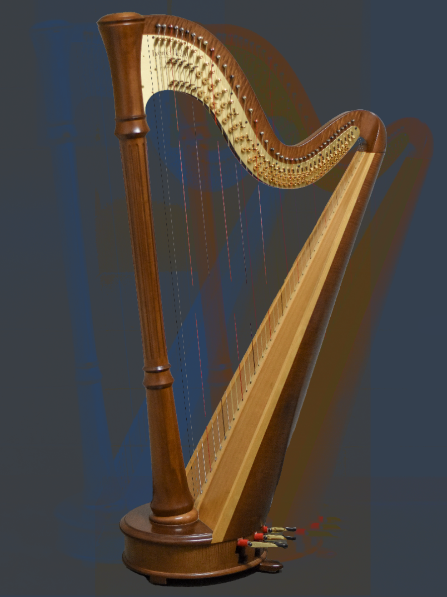 Senior Remi Wilcox was disqualified from Iowa All-State by a nonexistent rule regarding harp size.