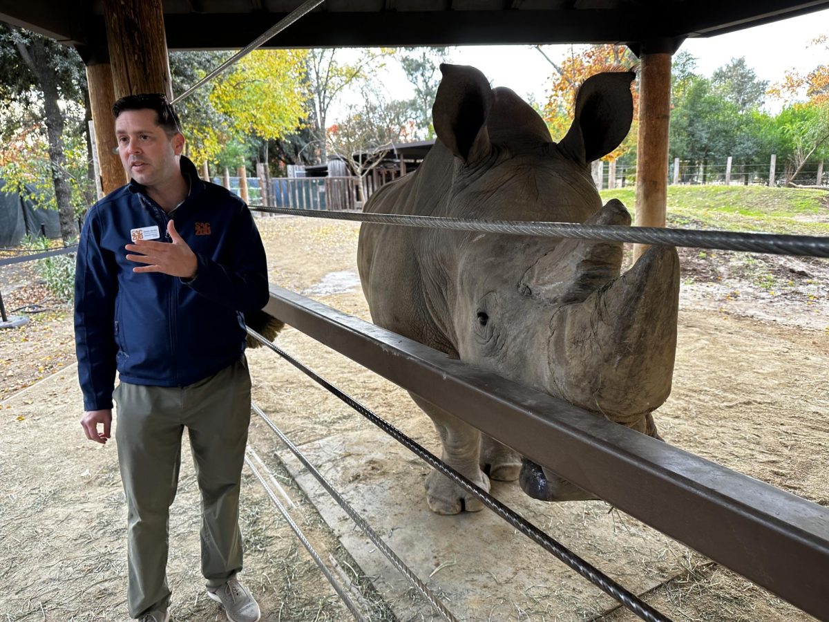 Jason Jacobs, former CEO of Sacramento Zoo, speaks on conservation policies alongside rhino.