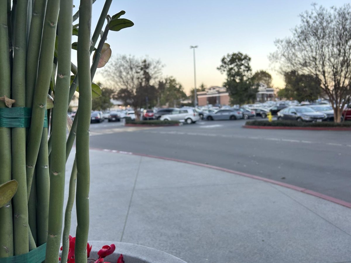 The shooting occurred around 7:30 p.m. on Saturday outside the Cerritos mall, resulting in one death.