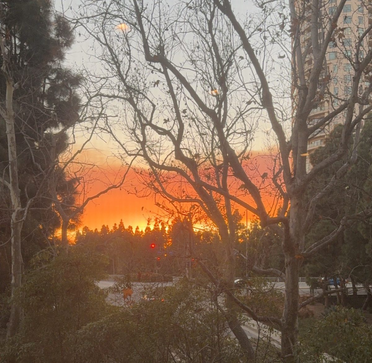 The Palisades fire could be clearly seen from Beverly Hills, a neighborhood in Los Angeles.