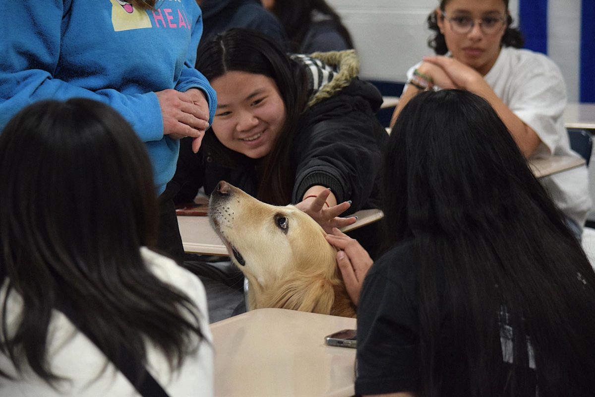 Students reach out to pet Galaxy, one of the Children’s Hospital therapy dogs during a presentation to Creek’s Psychology Club. Galaxy was brought into the meeting with child life specialists Sarah Scott and Brianne Newman, who discussed their careers with the club.